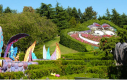 Disney Attractions