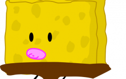 Spongy variations