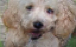 hottest/best anime characters