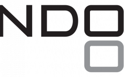 DS Games