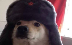 every character in dragon ball xenoverse 2