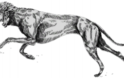 Hunt Showdown Trait tier list
