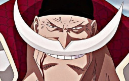 Homens Idosos da Ficção