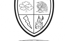 Cascadia Gwent Tier List