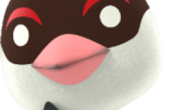 Animal Crossing New Horizons - Birds