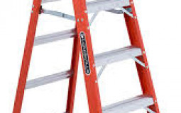 King of The Ladder