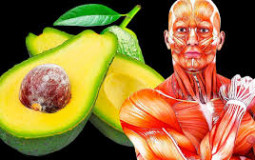 Which is the Superior Fruit?