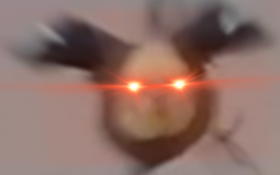 Flo's Aussie Food Tier List