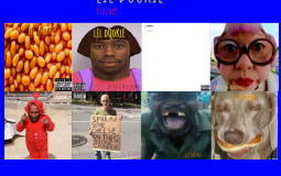 Lil Dookie Albums