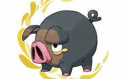 New pokemon tierlist