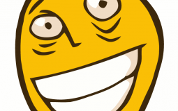 teachers of school 1