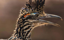 ArtInc's VIDEO GAME RANKINGS TRUST ME THEY HAVE THE BEST GAME IN THE WORLD