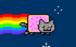 Internet Cat Tier List