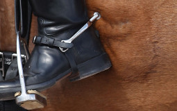 Horse Equipment I'd Never Use Again