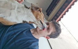 Todos os vídeos do maravilhoso canal de Pedro Fornel