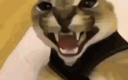 Blue Mountain Trails