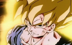 Frieza Saga