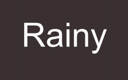 Moist