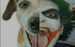 Bixo que eu quebraria (Jon version)