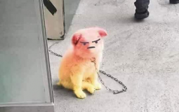 AHHHHHHHHHHHHHHHHHHHHHHHHHHHHHHHHHHHHHHH