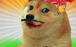 Okbhaibudbak Members