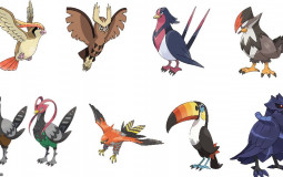 Regional Bird Pokemon (Gen 1-8)