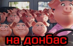 ТИР игроков в доту по нынешней форме