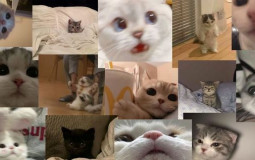 Nini's Fictional Crushes