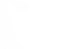 Valorant Ults Tier List