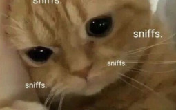 Crush anime/dessin anime