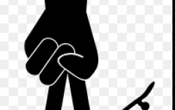 Fingerboard Rankings