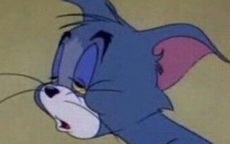 Sonic Zones (1, 2, 3, & Knuckles)