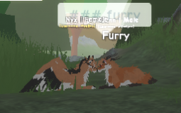 coisas preferidas do roberto