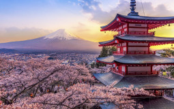 Référence culturelle du japon