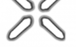 PornHub Categories