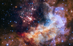 Space Companies and Agencies