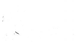 Furry Warriors character tier list
