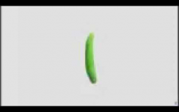 Cucumber TierList