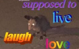 best songs (my opinion)