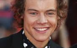 Harry Effing Styles