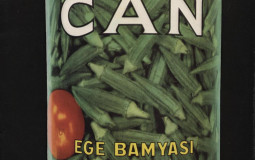 Can