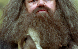 harry potter characters i would ####