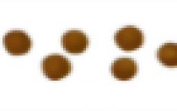 ##### matter consistency