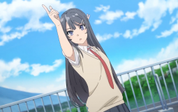 Bunny Girl Senpai Best Girls