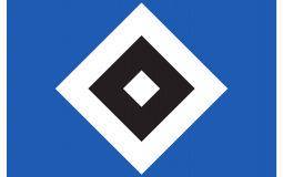 HSV TransferFlops