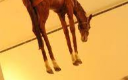 Weirdness chart (SOLUS)