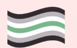 pride flag?