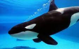 pessoas da rua (nao mendigos)