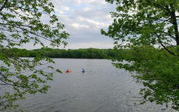 White Men Society has Deemed BF Material