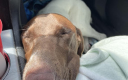 Hot things tier list